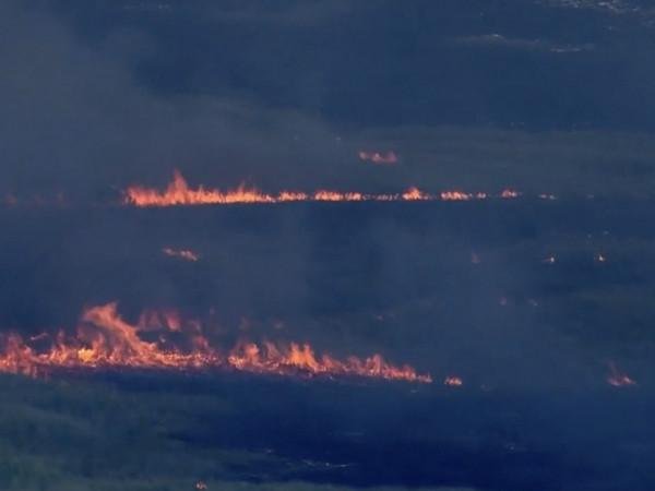 Incêndio atinge Everglades e consome mais de 19 mil acres na Flórida