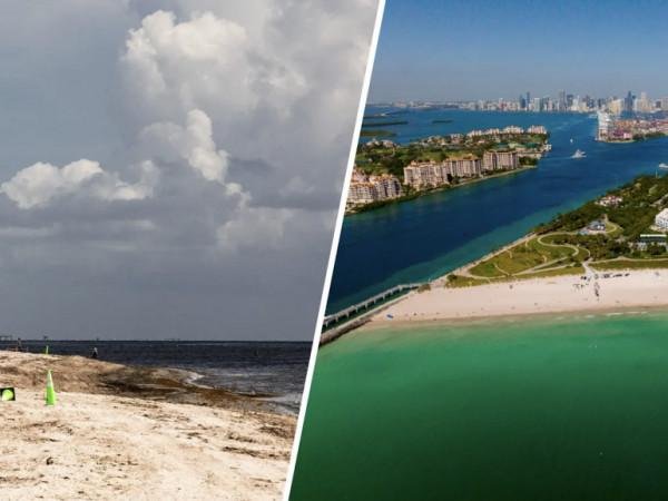 Autoridades emitem alerta de saúde para praias de Miami-Dade devido a bactéria