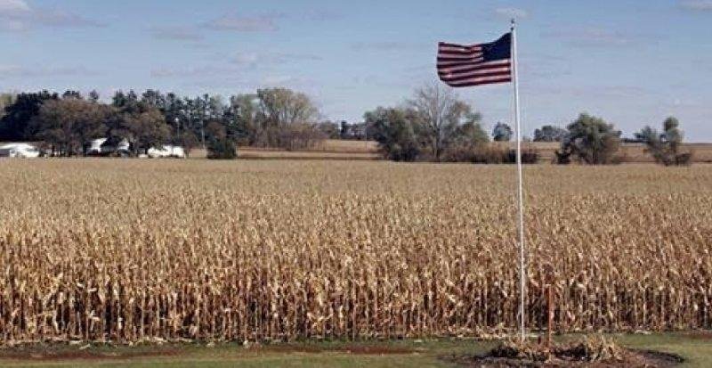 Batidas contra imigrantes esvaziam fazendas nos EUA; colheitas estão apodrecendo, dizem produtores