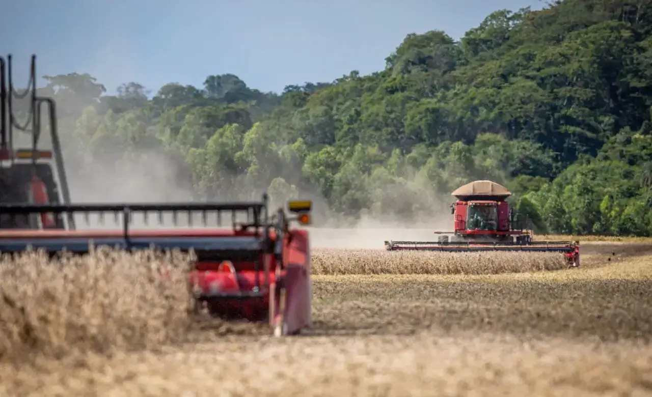 Mais de 35 mil fazendas podem ser desapropriadas e incorporadas as terras da União