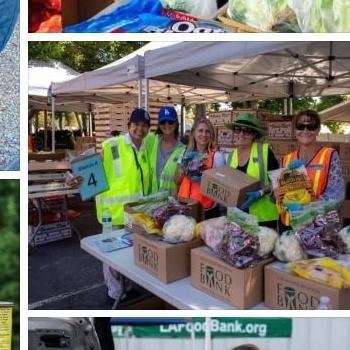 Distribuição Gratuita de Alimentos: Solidariedade e Apoio Comunitário